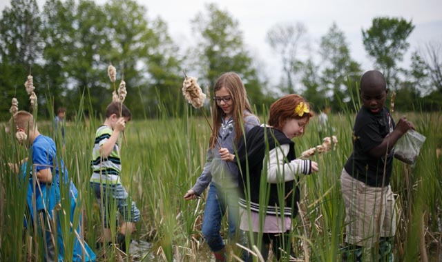 Congressional-Congress-blog children in a wheat field
