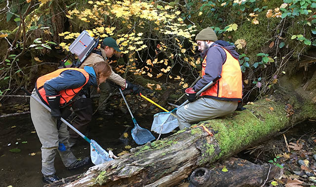 Battelle employees work to study ecosystems in the Pacific Northwest as part of the NEON project