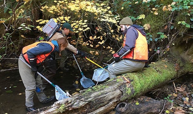 Neon-fish-header Battelle employees work to study ecosystems in the Pacific Northwest as part of the NEON project
