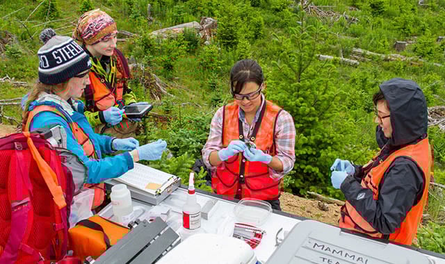 NEON-seasonal-blog Hundreds of early-career ecologists collect data from Alaska to Florida to fuel continental-scale research for the National Science Foundation