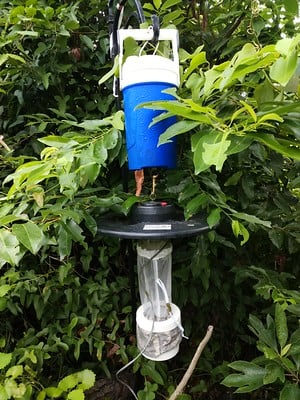 alt=Mosquito trap at JERC