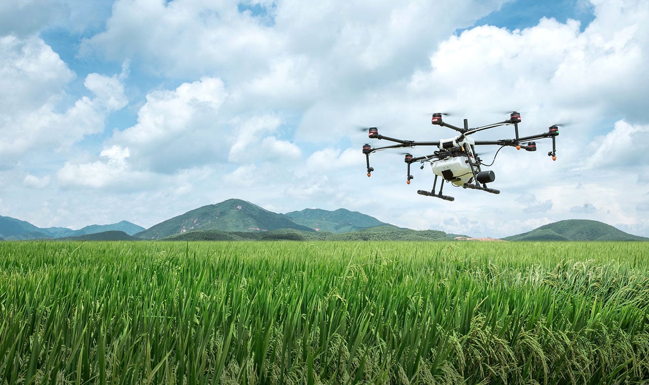 drone spraying crops