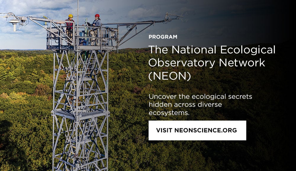 NEON-end-of-blog-callout Photo: Neon technicians in the boulder tower