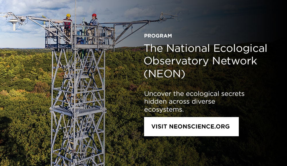 Photo: Neon technicians in the boulder tower