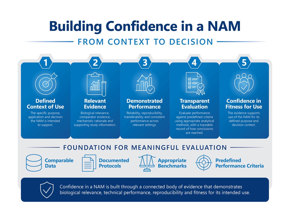 building-confidence-in-a-nam-blog-graphic Image: Graphic detailing a NAMs process