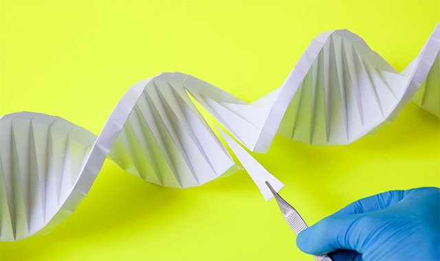 Image: DNA helix model and gloved hand of a researcher