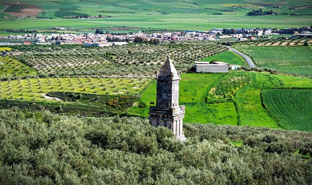 fields in Tunisia