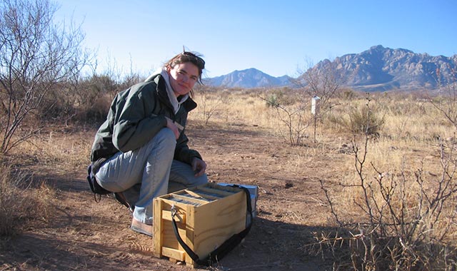 alt= NEON Science Lead Kate Thibault kneeling next to a rodent trap