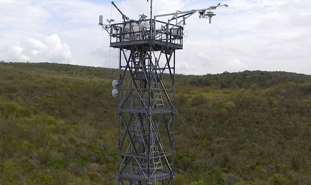 alt=The Guanica Dry Forest Reserve Tower