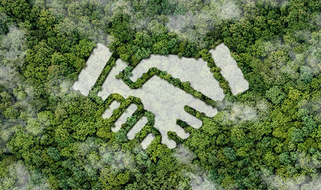 Image: Handshake on top of a forest