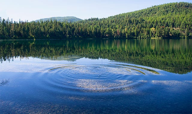 Image: PFAS-contaminated lake with ripples