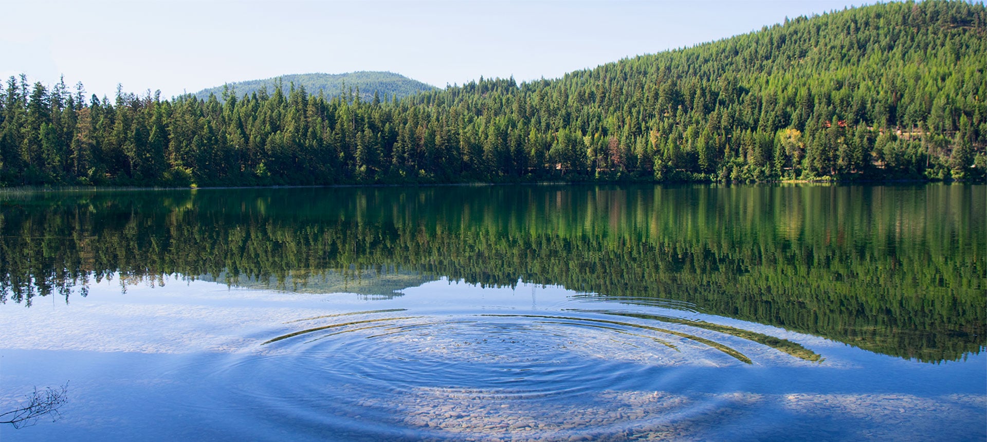 alt=close up of a rippling water in a lake in the woods