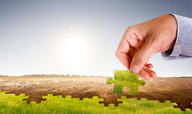 Image: Human hand holding a puzzle piece made of grass